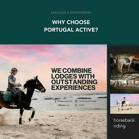 公寓 Portugalactive Flat *
